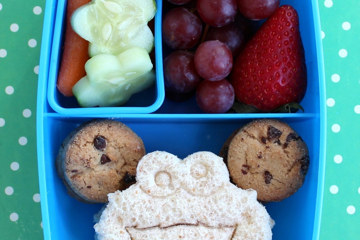 Best Lunch Containers for Kids: Leak Resistance, Cleaning, and Size