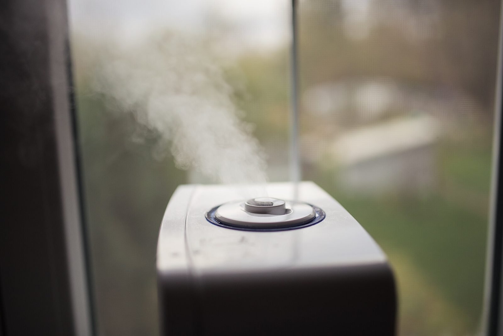 A home humidifier releasing a soft plume of mist beside a window
